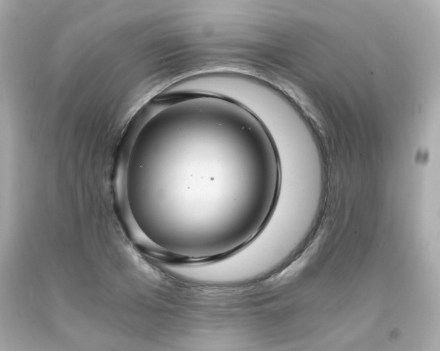 X0000091940985200709121615