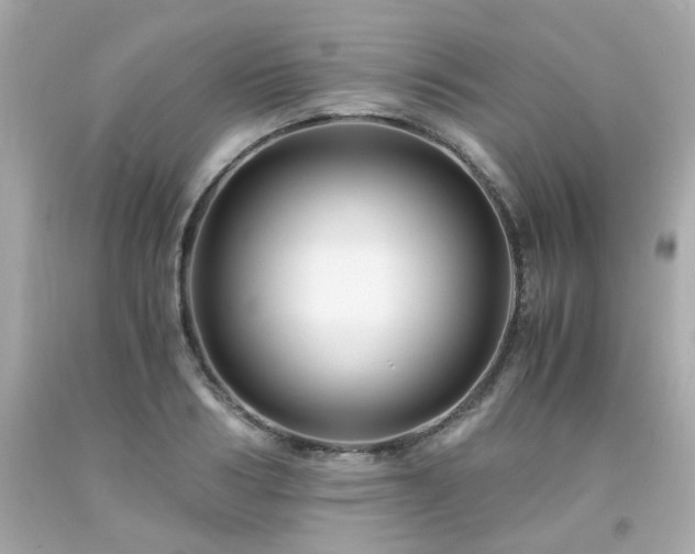 X0000091940986200709121615