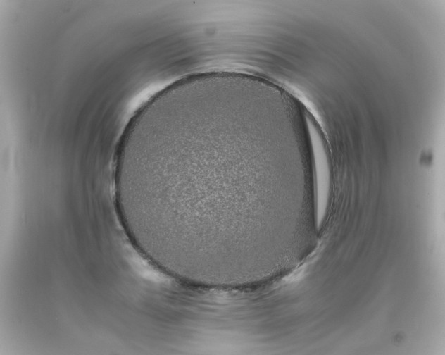 X0000091940987200709121615