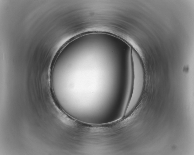 X0000091940988200709121615