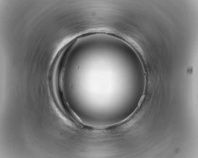 X0000091940989200709121615