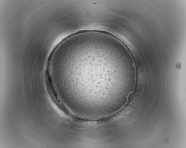 X0000091940990200709121615