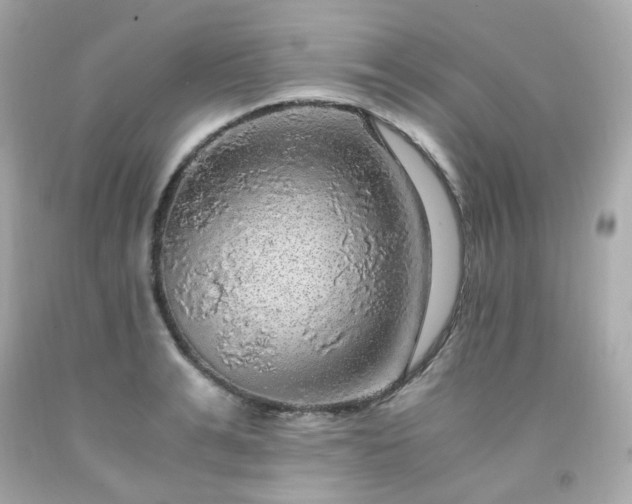 X0000091940991200709121615