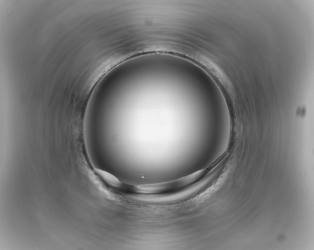 X0000091940993200709121615