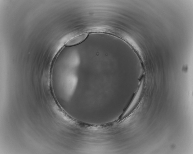 X0000091940994200709121615