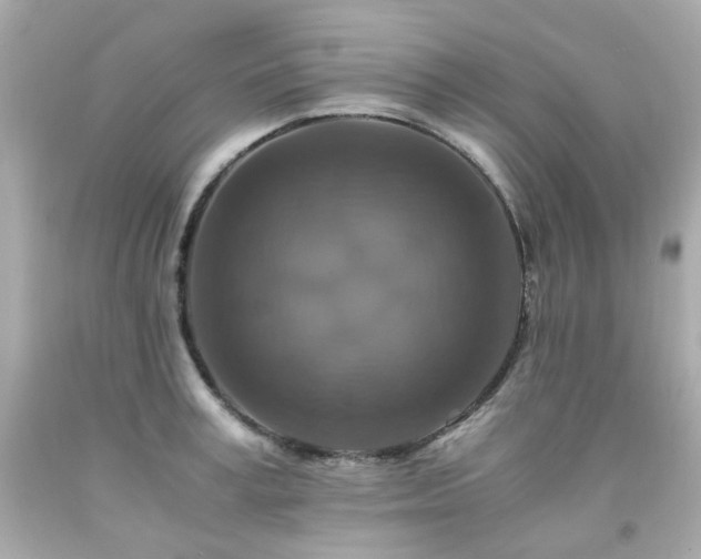 X0000091940995200709121615