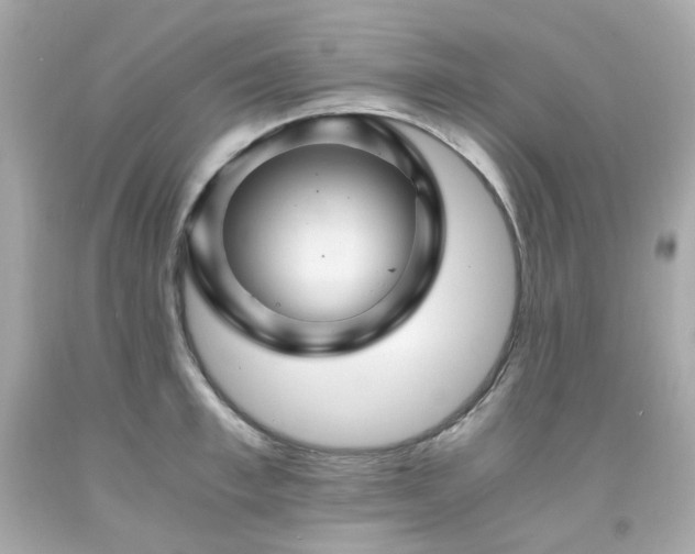 X0000091940997200709121615