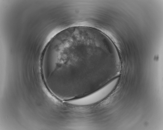 X0000091940998200709121615