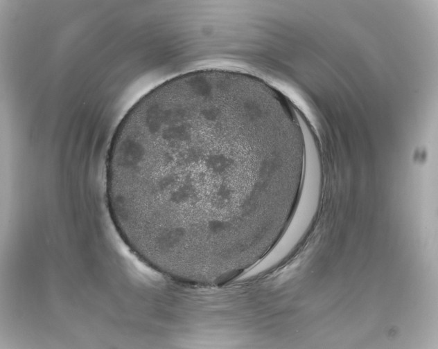 X0000091940999200709121615