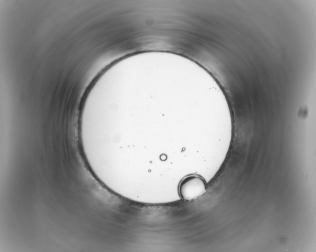 X0000091941000200709121615