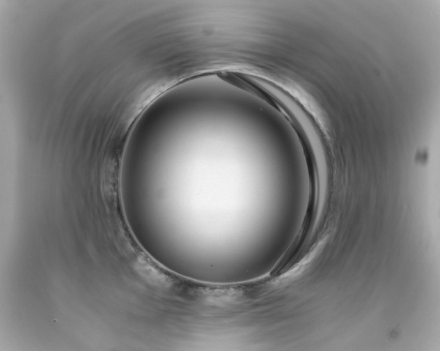 X0000091941001200709121615