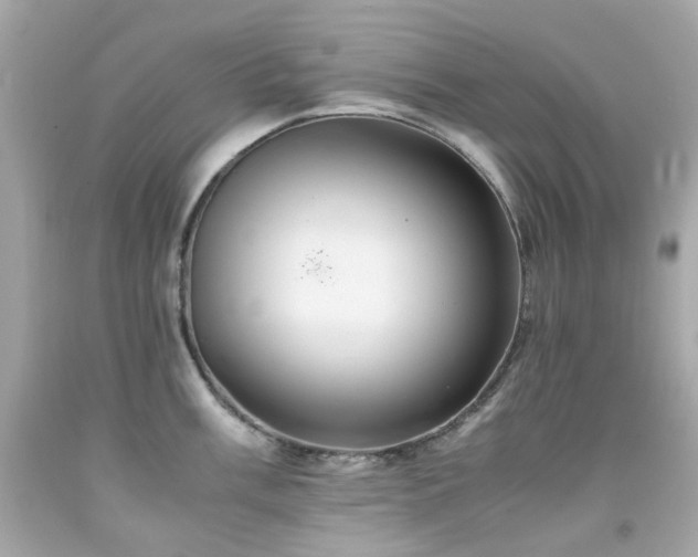 X0000091941003200709121615