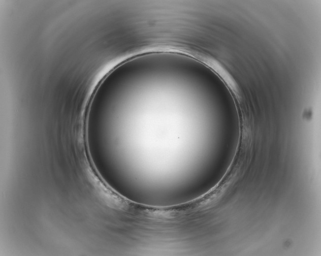 X0000091941004200709121615