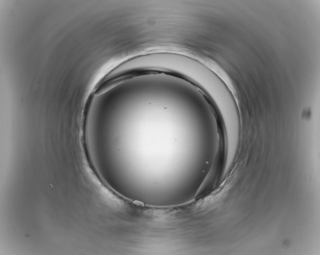 X0000091941005200709121615