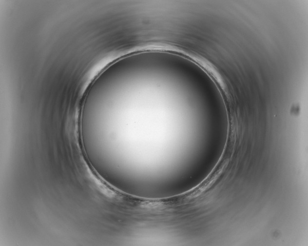 X0000091941006200709121615