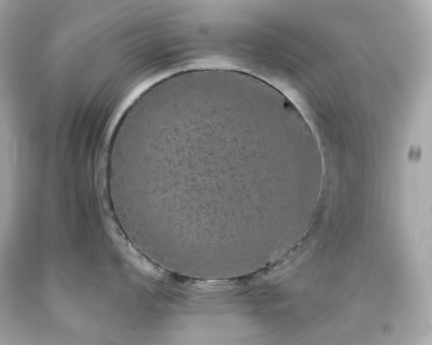 X0000091941008200709121615