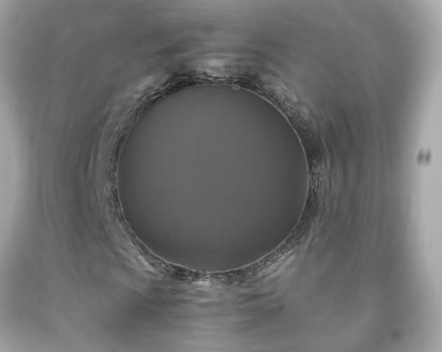 X0000091941009200709121615