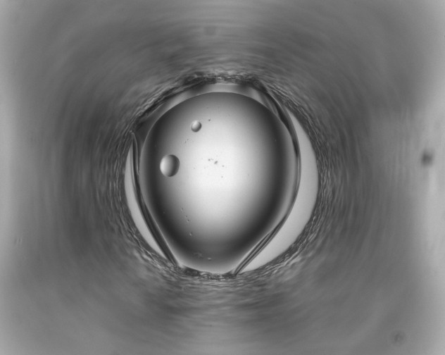 X0000091941010200709121615