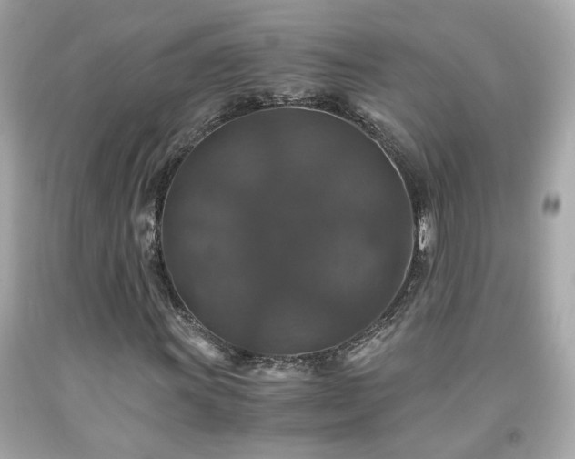 X0000091941011200709121615