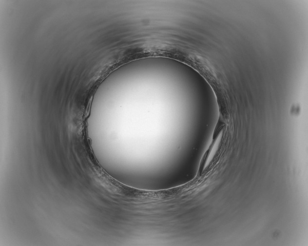 X0000091941012200709121615