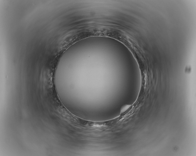 X0000091941013200709121615