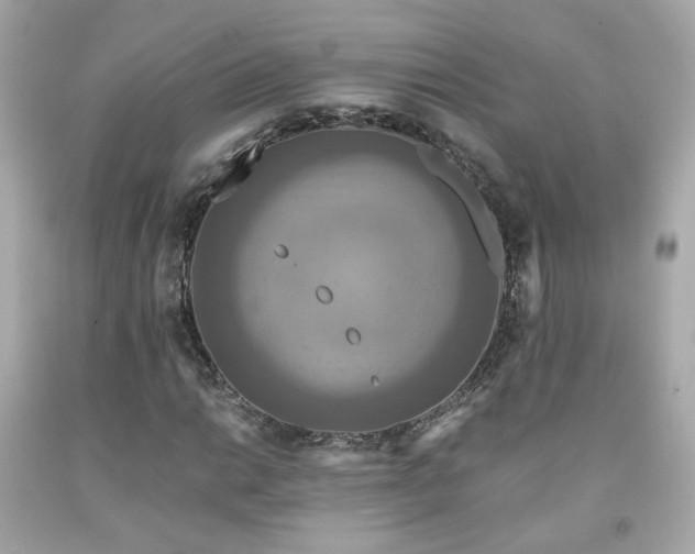 X0000091941014200709121615