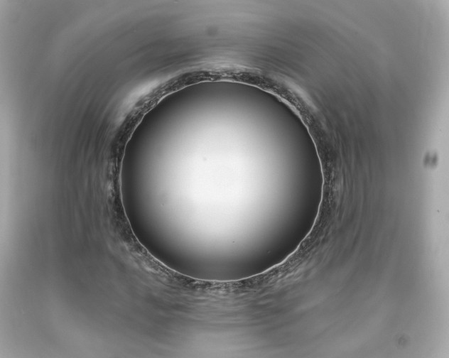 X0000091941016200709121615