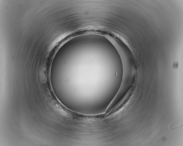 X0000091941018200709121615