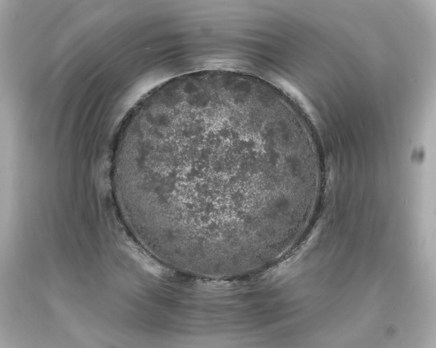 X0000091941019200709121615