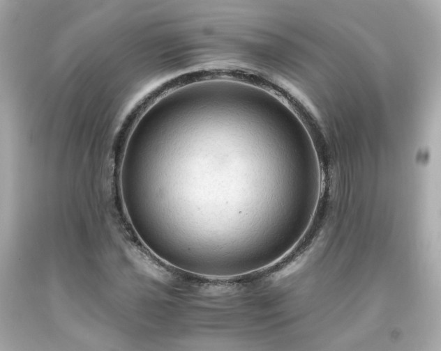 X0000091941021200709121615