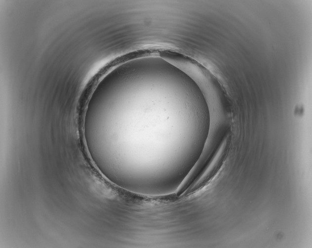 X0000091941022200709121615