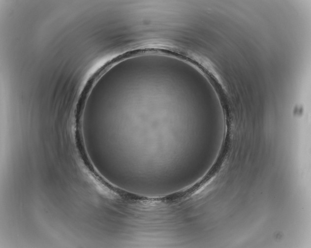 X0000091941024200709121615