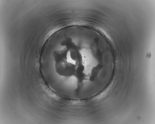 X0000091941025200709121615