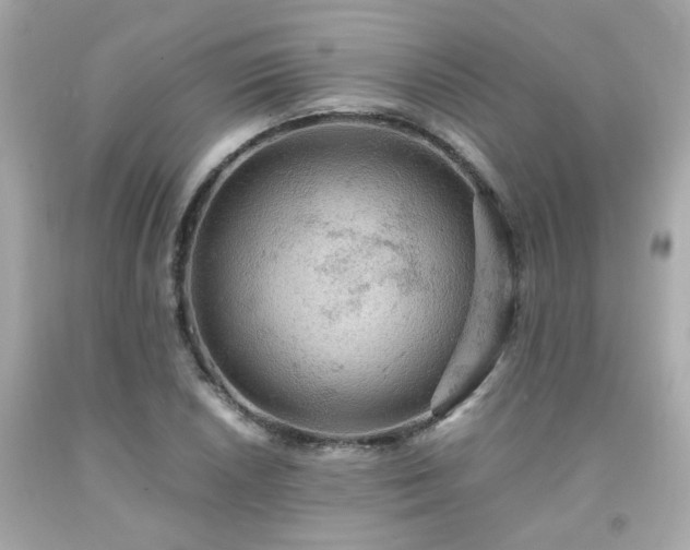 X0000091941026200709121615