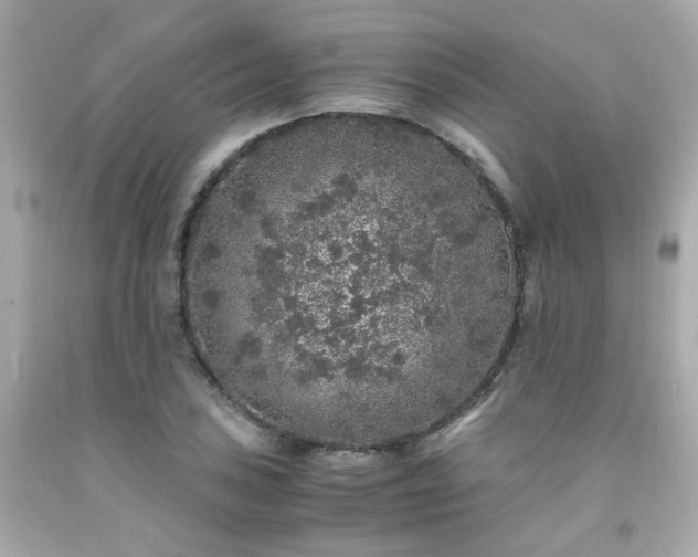 X0000091941027200709121615