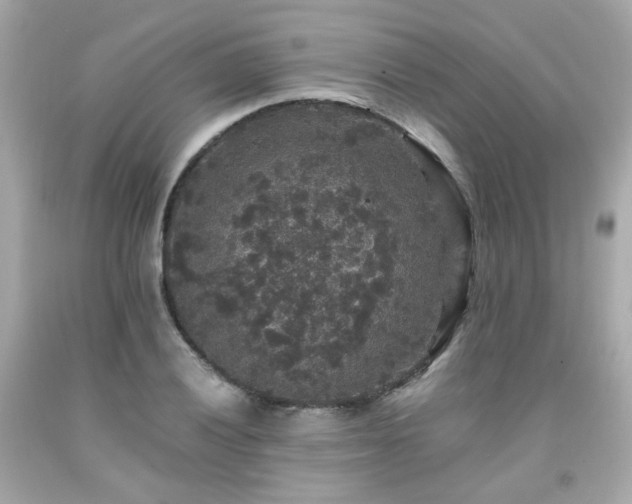 X0000091941028200709121615