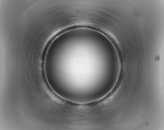 X0000091941029200709121615