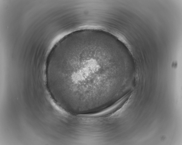 X0000091941030200709121615