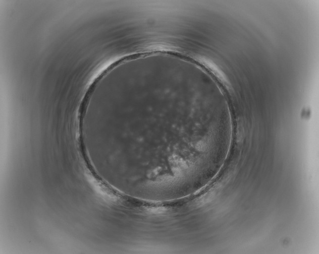 X0000091941031200709121615