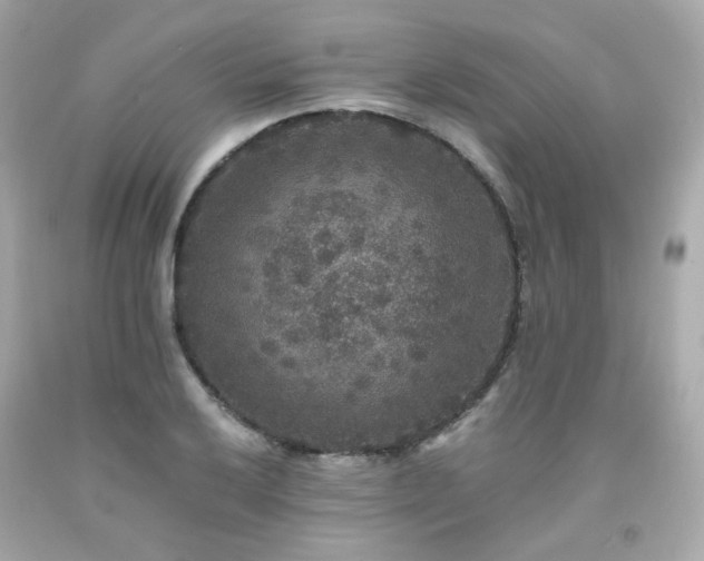 X0000091941032200709121615