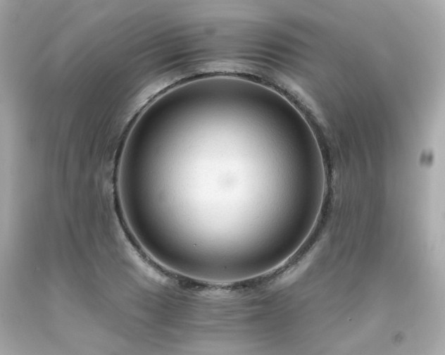 X0000091941033200709121615