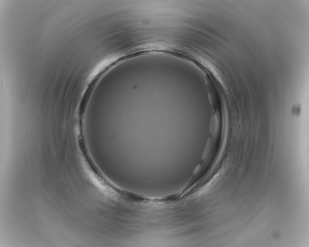 X0000091941034200709121615