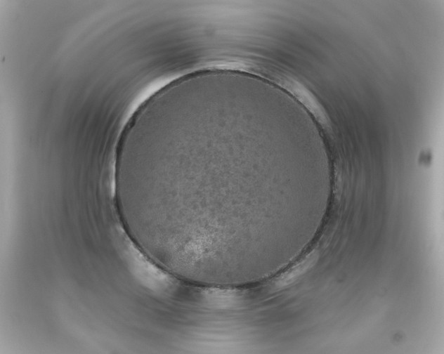 X0000091941036200709121615