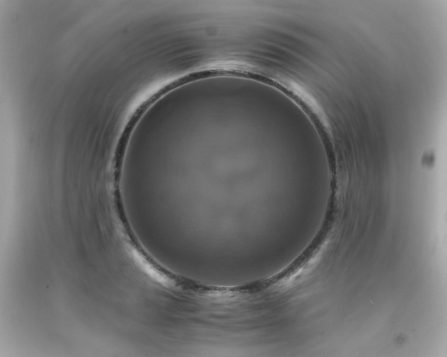 X0000091941037200709121615