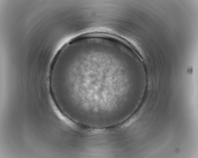 X0000091941038200709121615