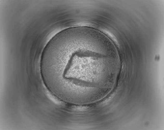 X0000091941039200709121615