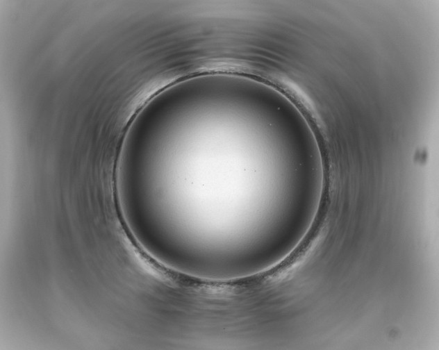 X0000091941041200709121615