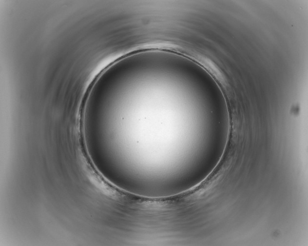 X0000091941044200709121615