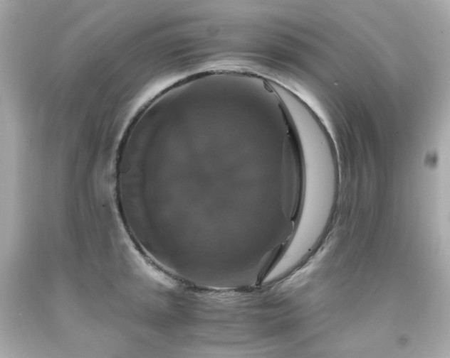 X0000091941045200709121615