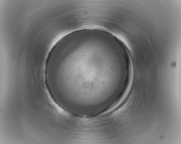 X0000091941046200709121615